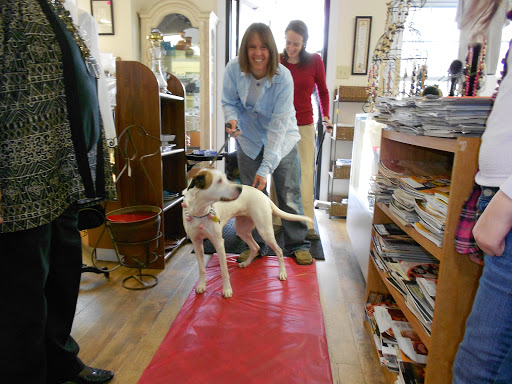 Thrift Store «Blue Ridge Humane Society Thrift Store», reviews and photos, 1214 Greenville Hwy, Hendersonville, NC 28792, USA