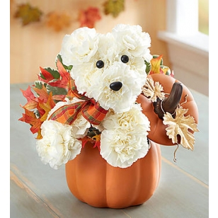 Gift Shop «Corona Florist», reviews and photos, 1258 Border Ave, Corona, CA 92882, USA