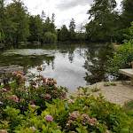 Photo n° 12 de l'avis de Patricia.a fait le 09/09/2019 à 15:56 pour Fabuloserie à Dicy