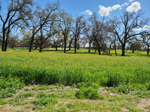 Golf Course «Dragonfly Golf Club», reviews and photos, 43369 Avenue 12, Madera, CA 93636, USA