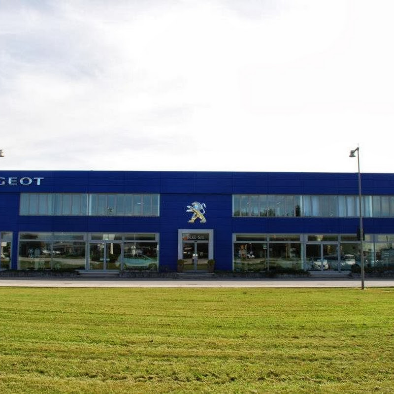 Bliz Ltd. - Peugeot Udine