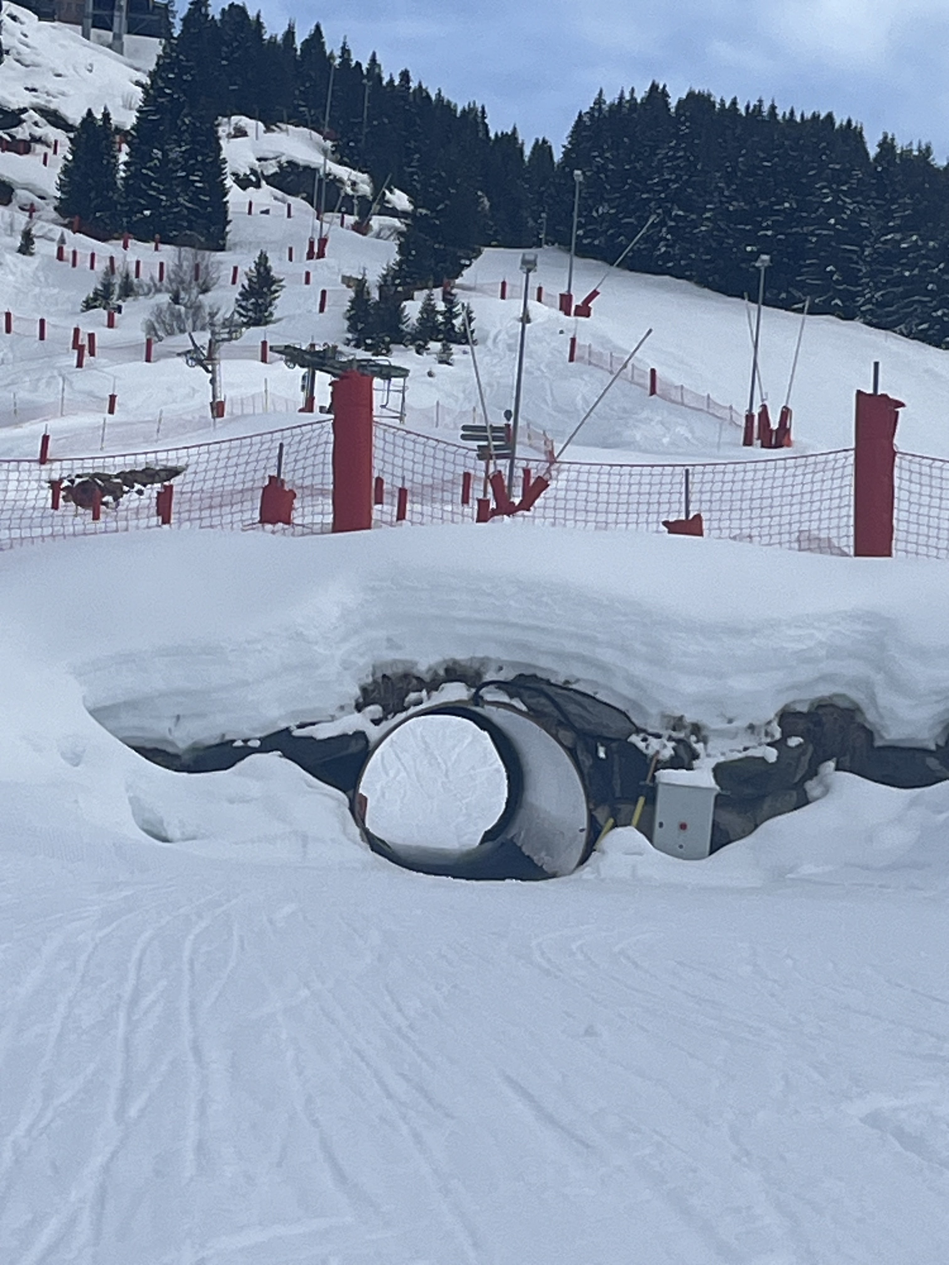 Photo n° 2 de l'avis de H.o fait le 29/02/2024 à 05:23