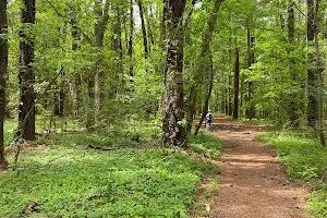 Tour de Wolf Trailhead image