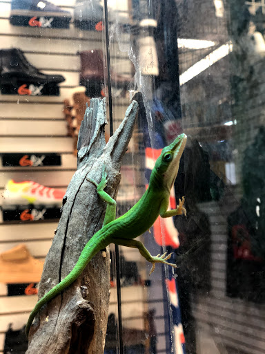 Super Pet Store