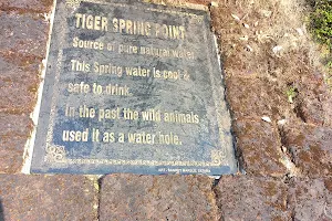 Tiger Spring Point Mahabalehwar image