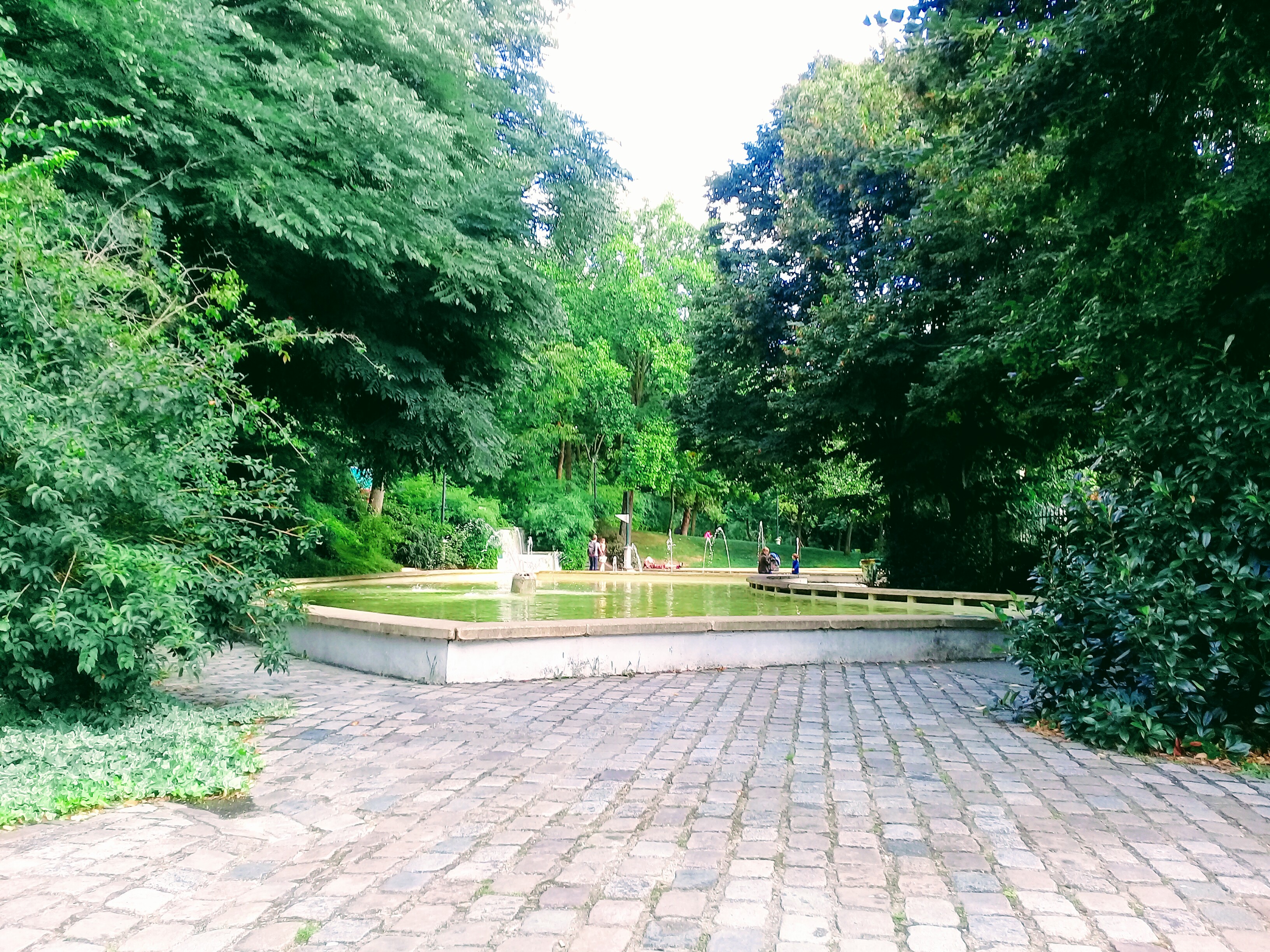 Photo n° 3 de l'avis de Christophe.i fait le 08/09/2017 à 15:44
