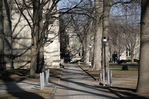 Museum «Princeton University Art Museum», reviews and photos, Elm Dr, Princeton, NJ 08544, USA