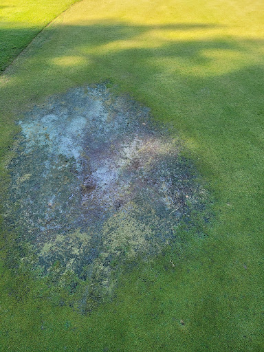 Golf Course «Reynolds Park Golf Course», reviews and photos, 2391 Reynolds Park Rd, Winston-Salem, NC 27107, USA