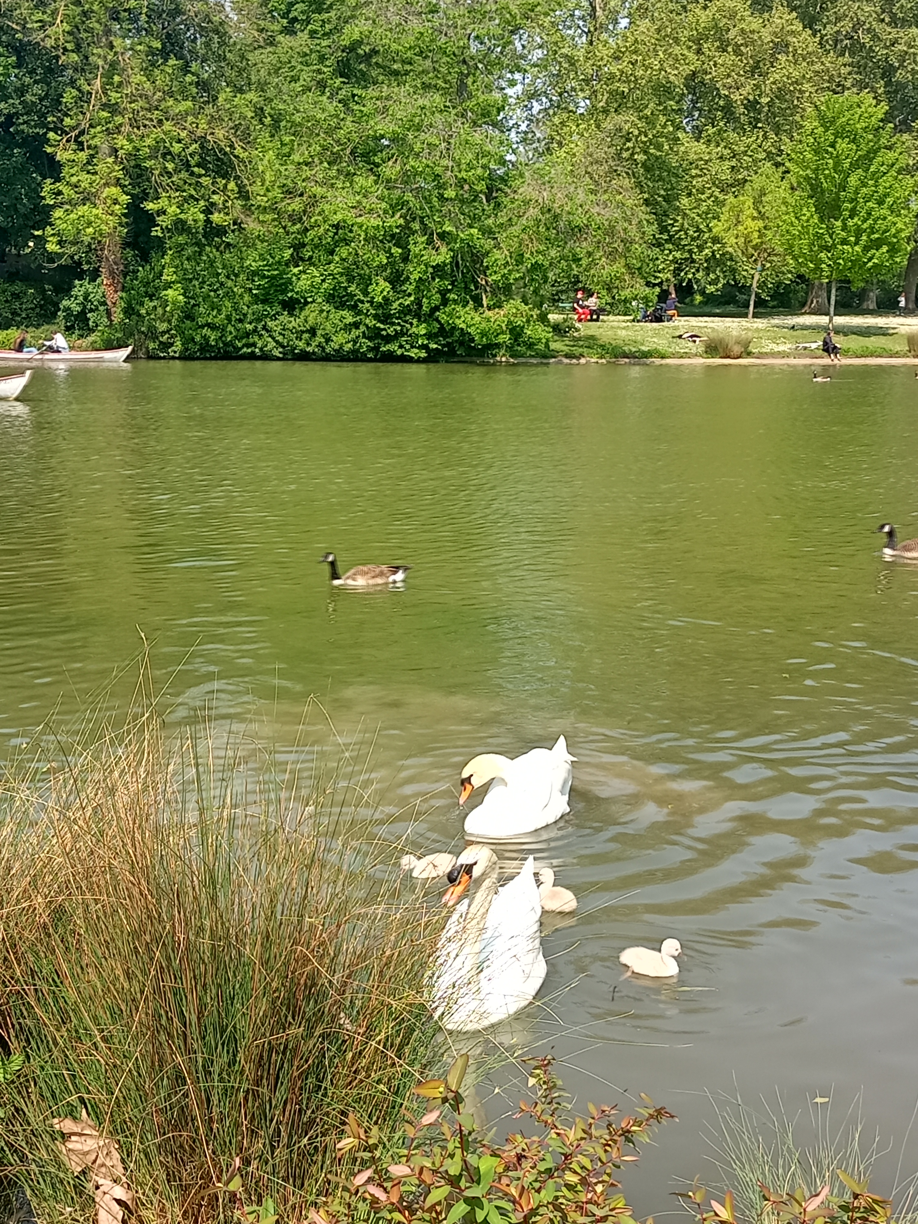 Photo n° 8 de l'avis de LUCIE.P fait le 16/05/2023 à 18:58