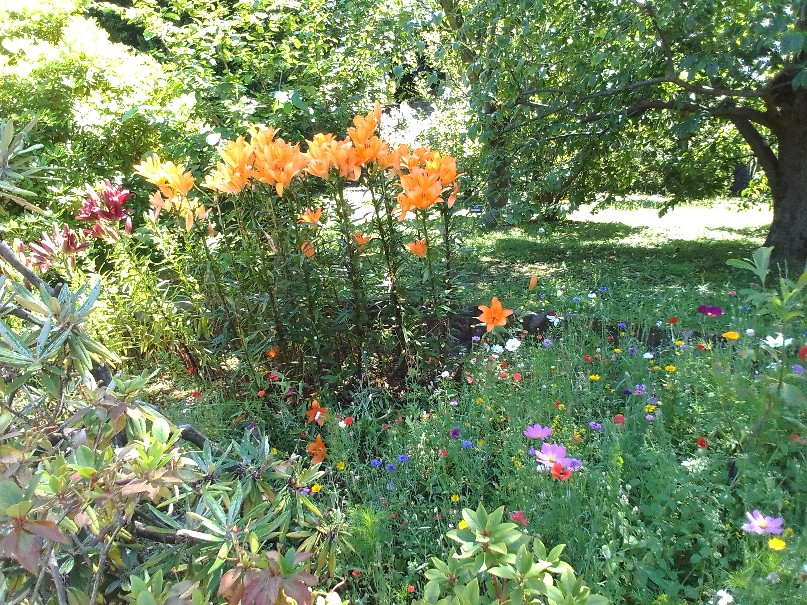 Photo n° 18 de l'avis de Thierry.l fait le 27/06/2023 à 13:44