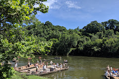 Percival's Island Natural Area