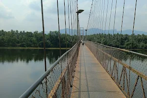 Samshi Hanging Bridge image