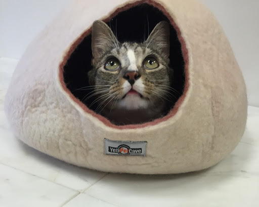 Pet Supply Store «The Animal Park Marketplace», reviews and photos, 744 W Riverdale Rd, Riverdale, UT 84405, USA