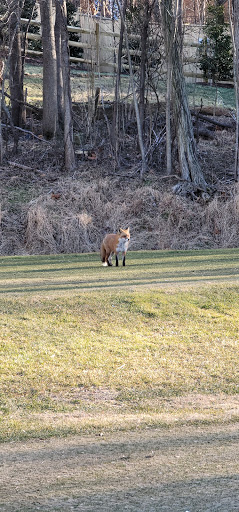 Public Golf Course «Falls Road Golf Course», reviews and photos, 10800 Falls Rd, Potomac, MD 20854, USA