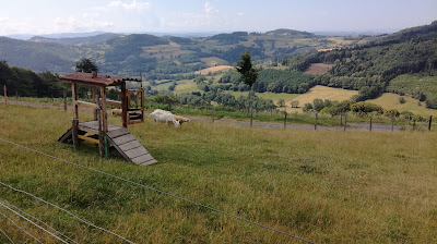Ferme Pédagogique des Loupiots à Affoux