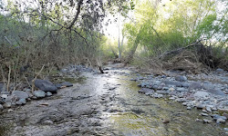 Jewel of the Creek Preserve