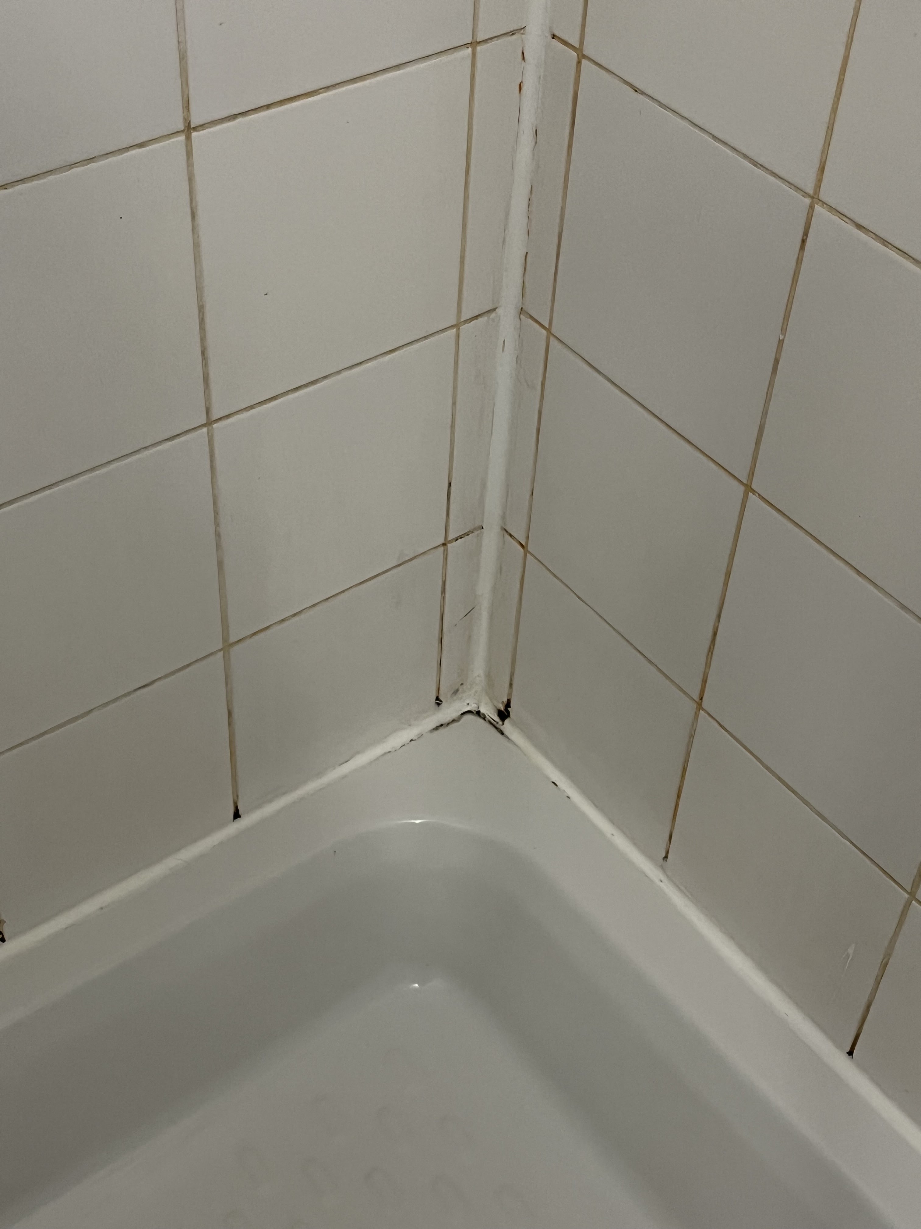 Photo n° 3 de l'avis de l06. fait le 19/12/2022 à 15:04