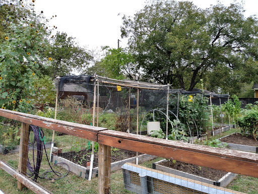 Fairmount Community Garden image 9