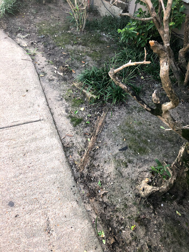 Property Management Company «Randall Management», reviews and photos