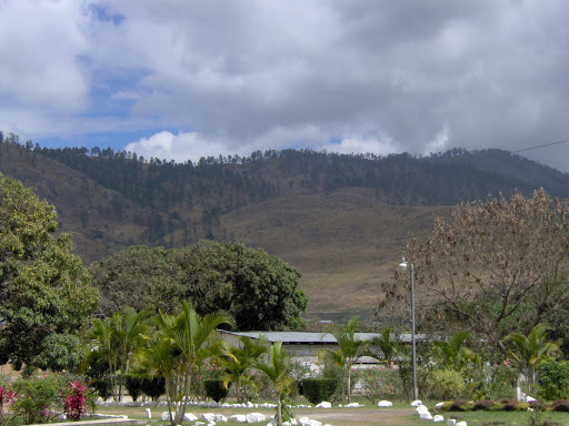 Tobacco Shop «Blanco Cigar Company Inc», reviews and photos, 6399 142nd Ave N, Clearwater, FL 33760, USA