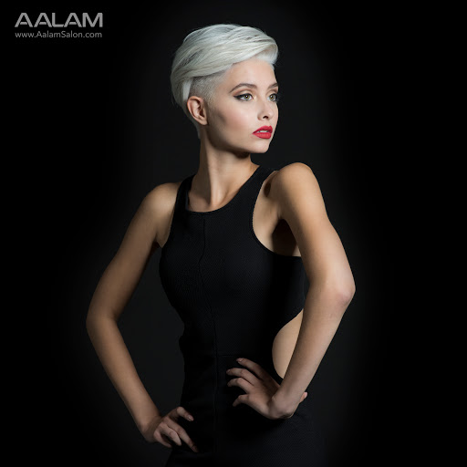 Hair Salon «AALAM The Salon», reviews and photos, 8240 Preston Rd #170, Plano, TX 75024, USA