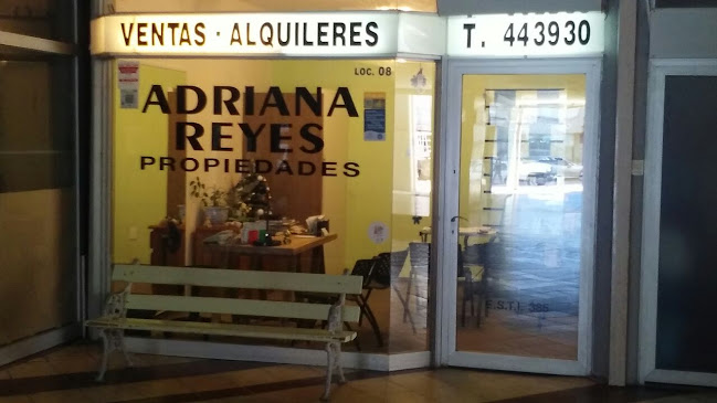 Adriana Reyes Propiedades - Agencia inmobiliaria