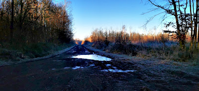 Verdilly, la forêt de Barbillon à Verdilly