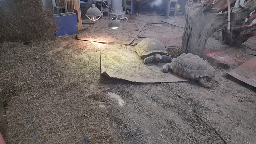 Pet Supply Store «Living Things», reviews and photos, 3437 PA-309, Orefield, PA 18069, USA