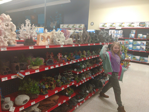 Pet Supply Store «Petco Animal Supplies», reviews and photos, 3165 Alpine Ave NW g, Walker, MI 49544, USA