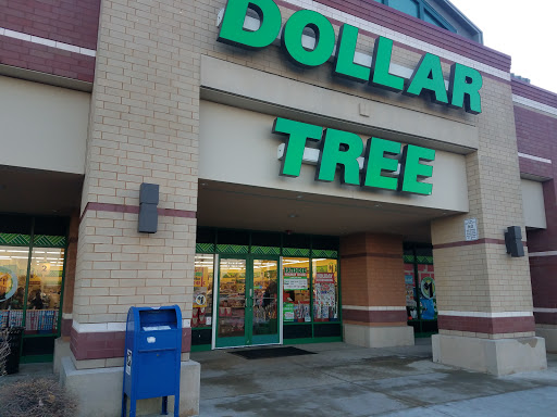 Dollar Store «Dollar Tree», reviews and photos, 1243 E Higgins Rd, Schaumburg, IL 60173, USA