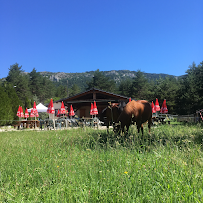 Photos du propriétaire du Restaurant français La Flambée du Lac à Andon - n°3