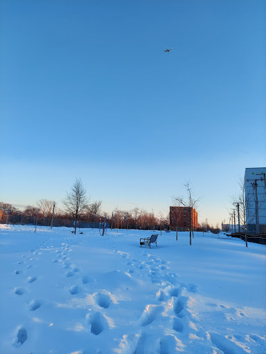 Grocery Store «City Fresh Market», reviews and photos, 3201 W Devon Ave, Chicago, IL 60659, USA