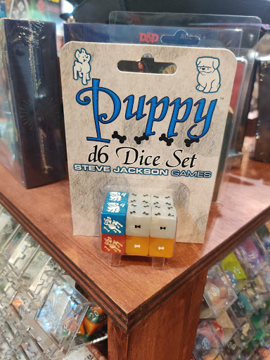 Game Store «The Wandering Dragon Game Shoppe & Escape Room», reviews and photos, 15032 S Des Plaines St, Plainfield, IL 60544, USA