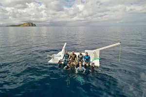 Deep Dominica Freediving image