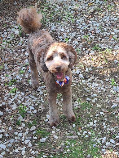 Pet Store «Rainbow Pet Supplies», reviews and photos, 3940 58th St, Woodside, NY 11377, USA