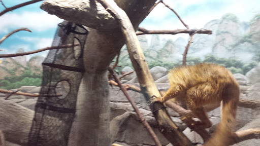 Golf Course «Como Park Golf Course», reviews and photos, 1431 Lexington Pkwy N, St Paul, MN 55103, USA