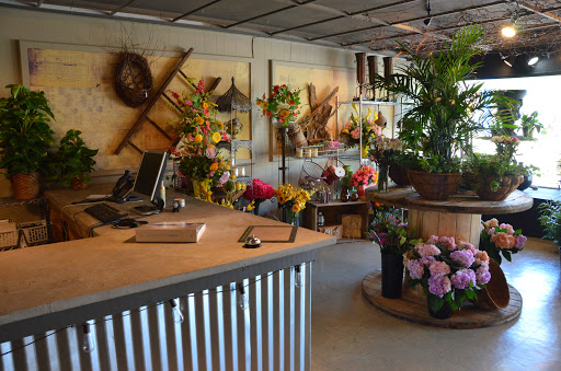 Florist «Broadway Florist-Bowling Green», reviews and photos, 923 Broadway Ave, Bowling Green, KY 42101, USA