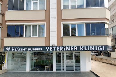 atakum healthy puppies veteriner kliniği