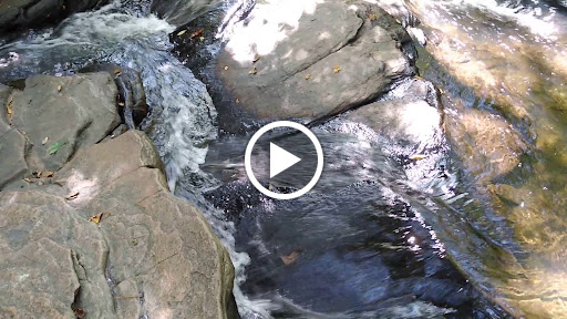 Nature Preserve «Autrey Mill Nature Preserve & Heritage Center», reviews and photos, 9770 Autrey Mill Rd, Johns Creek, GA 30022, USA