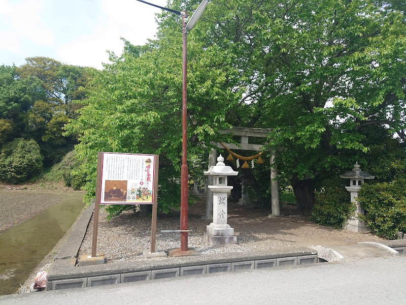 上坂神社の杉