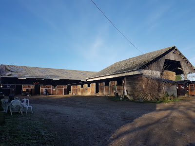 Haras Du Cèdre à Saint-Vaast-Dieppedalle