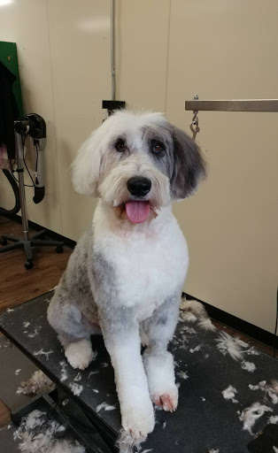 Pet Groomer «U Dirty Dog», reviews and photos, 232 Stevens Entry, Peachtree City, GA 30269, USA