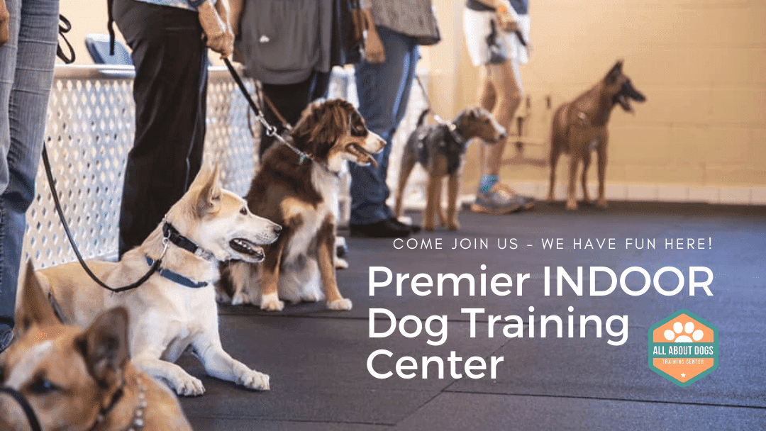 All About Dogs Training Center