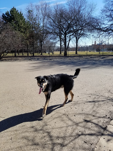 Dog Park «Norwood Park Dog Friendly Area», reviews and photos, 5850 N Avondale Ave, Chicago, IL 60631, USA