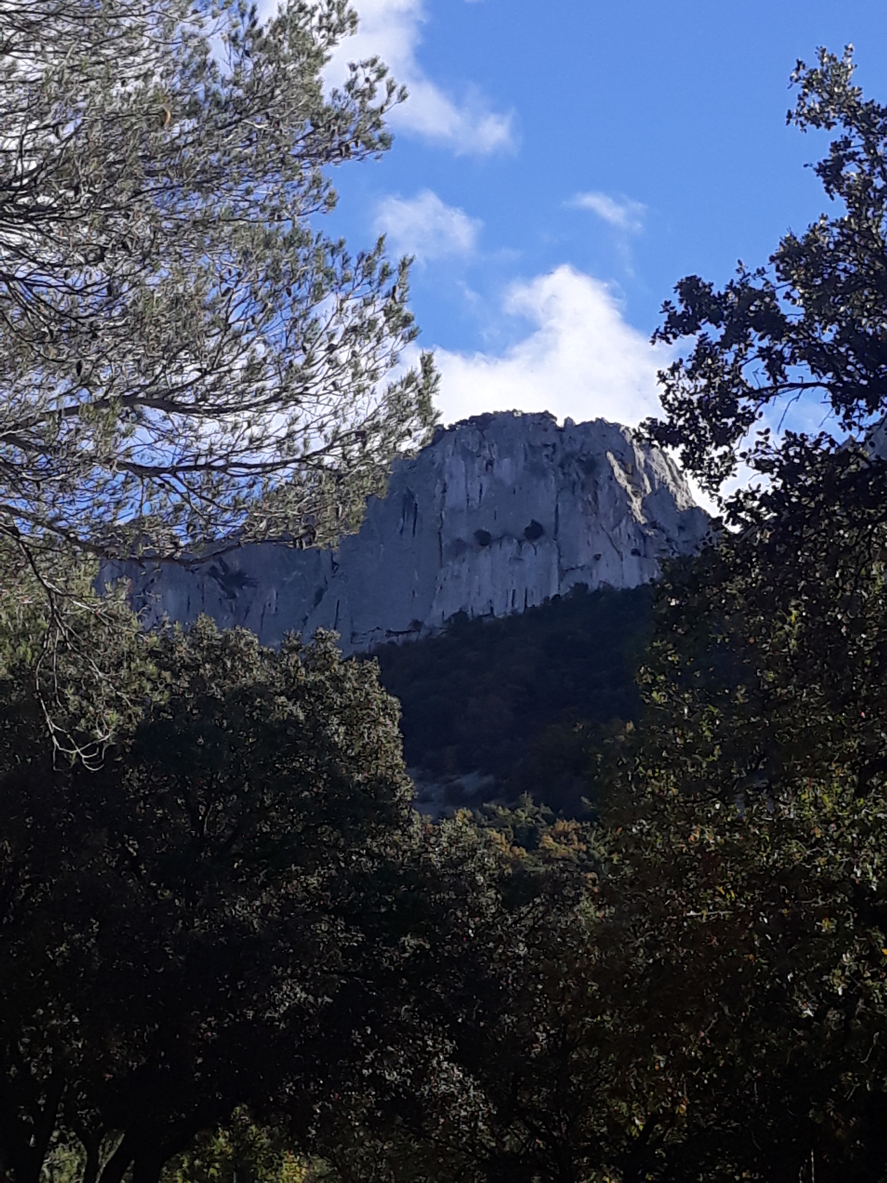 Photo n° 13 de l'avis de Emilie.i fait le 01/11/2021 à 22:18
