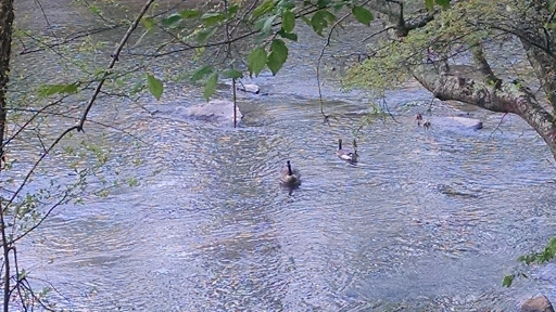 National Park «Chattahoochee River National Recreation Area, Island Ford Unit», reviews and photos, 1978 Island Ford Pkwy, Sandy Springs, GA 30350, USA