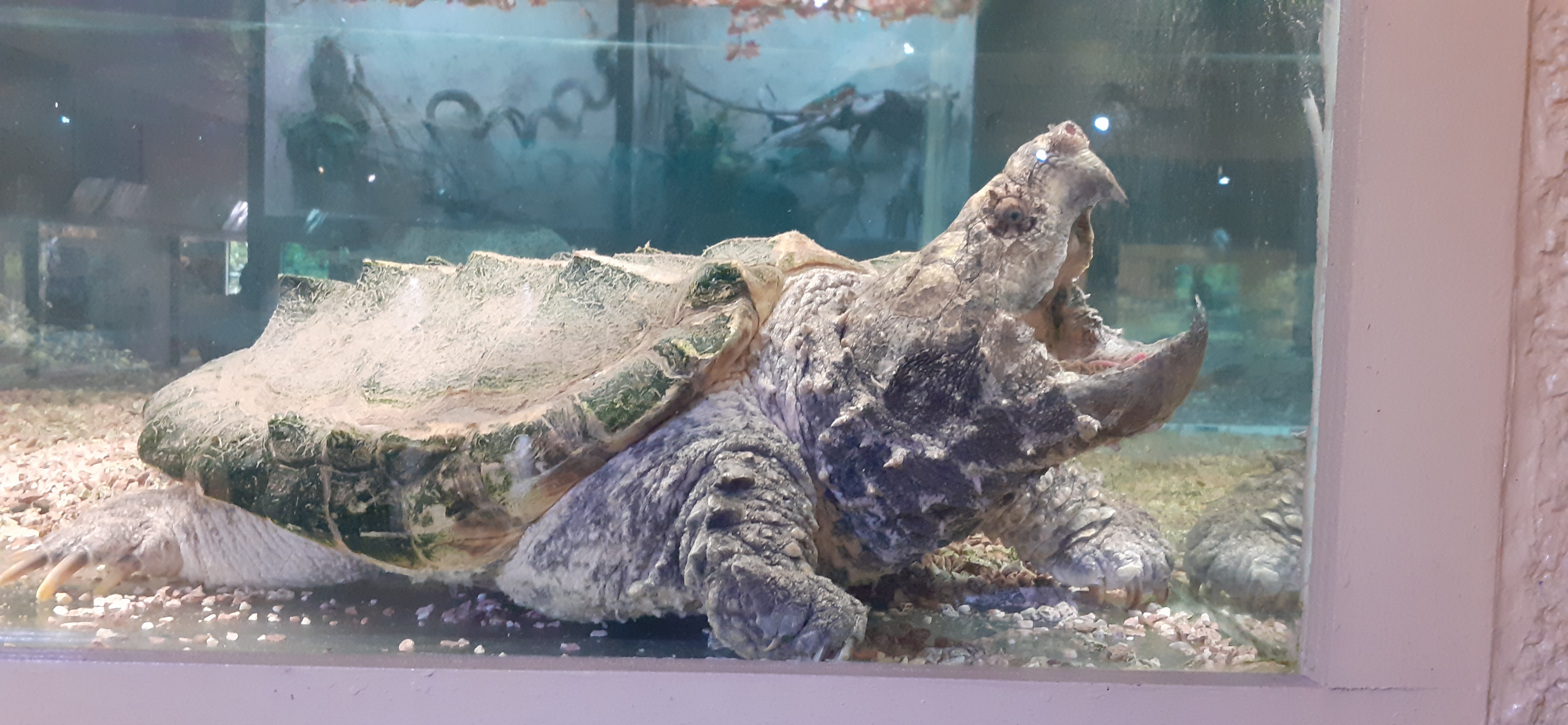 Photo n° 2 de l'avis de N. fait le 25/07/2022 à 14:07