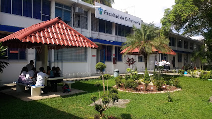 Universidad Veracruzana Facultad De Enfermeria