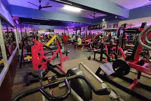 The gym fitness club image