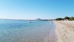 Photo de Plage de Pollença avec #44